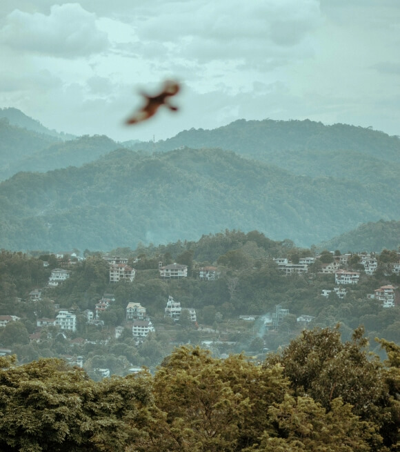 Elegant Hanthana mountain view from Theva Residency Kandy